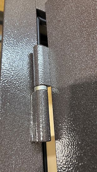 Входная дверь  